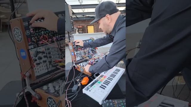 Играю вечером electronic live set на своем модульном синтезаторе #modularsynth @palmiragarden