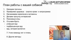 Как правильно отучить собаку подбирать на улице еду? Часть 1