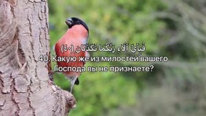 Красивое чтение суры АР РОХМАН | Абдурахман Аль Масъудий