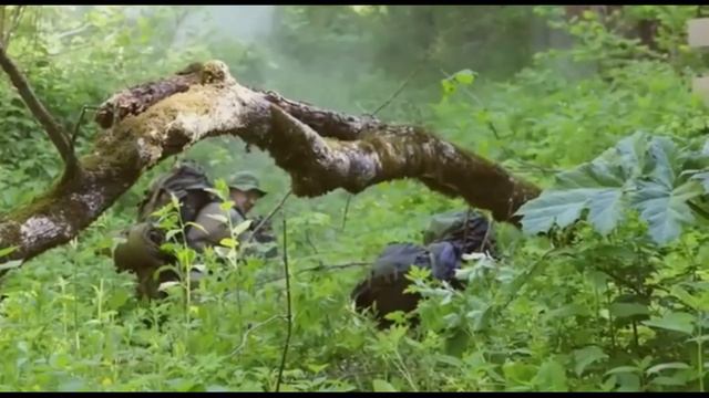 Напиши мне Армейская под гитару