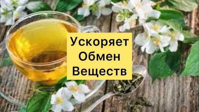 Чем Полезен Жасминовый Чай?