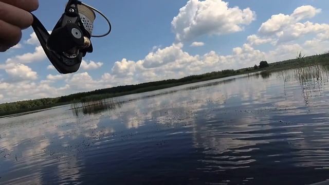 ЛОВЛЯ КРАСНОПЕРКИ на ПОПЛА ПОППЕР в ЖАБОВНИКЕ