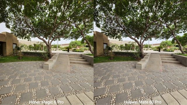 Honor Magic 6 Pro VS Huawei Mate 60 Pro Camera Test Comparison смотреть онлайн