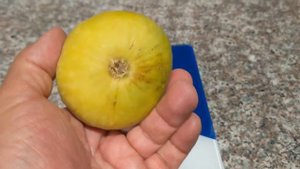 #figs #инжир Инжир сорта Yellow Long Neck вес 187 грамм!!!