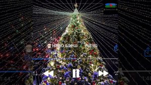 Нэво бэрш🎄🎅 | Виктор Шанс |~⚜️Цыганская песня⚜️~Песня на Новый год 🤶 🥂