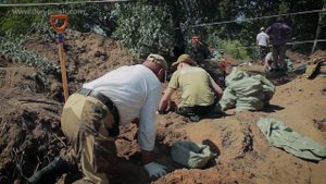 Более 600 советских солдат найдено в Воронежской области. ВОЕННАЯ АРХЕОЛОГИЯ