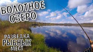 Болотное Озеро/Разведка Рыбных Мест/Рыбалка На Спиннинг/Летняя Рыбалка На Щуку