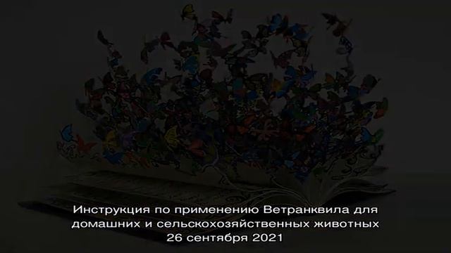 Самые красивые кактусы для вашего дома смотреть онлайн