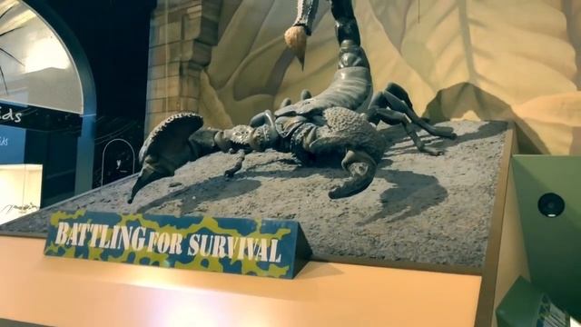 Музей Естествознания в Лондоне | Музей естественной истории. смотреть онлайн