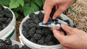 Рефрактометр АТС 40