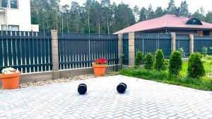 Предплечья за 30 дней с нуля. 1- неделя