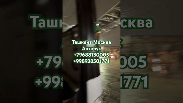 Ташкент Москва Автобус #воронеж #таджики #avtobus