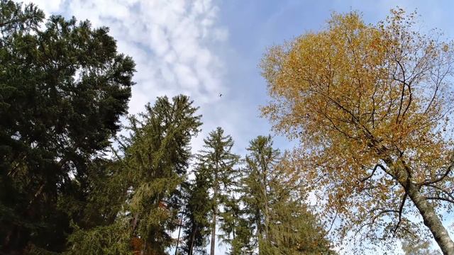 Энцклёстерле🤗🥾🥾Дышим свежим воздухом и любуемся красками осени!!! смотреть онлайн