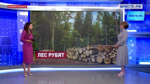 Развитие лесопромышленного комплекса: проблемы логистики. Татьяна Гигель. Сказано в Сенате