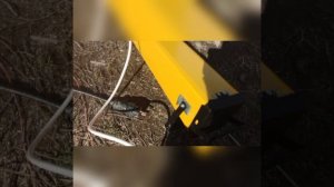 термопенал для электродов 150 градусов