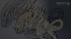 ТОП 10 ВИДОВ КСЕНОМОРФОВ (ЧУЖИХ)