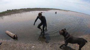 второй день саки грязи и треня