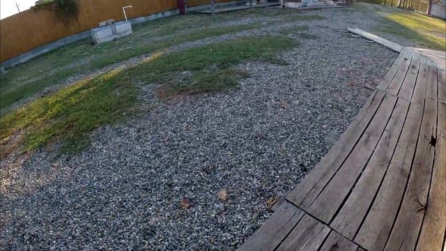 Прогулка с Питбулем Мусой. Как чувствует себя щенок ?? Питбули пресуют Колобка, спасение на лестниц смотреть онлайн