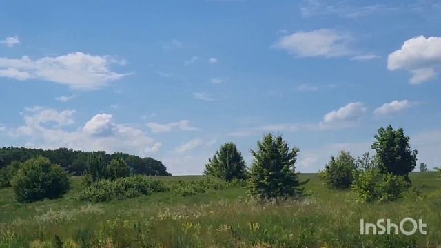 Марина Соколова/Обзор. смотреть онлайн