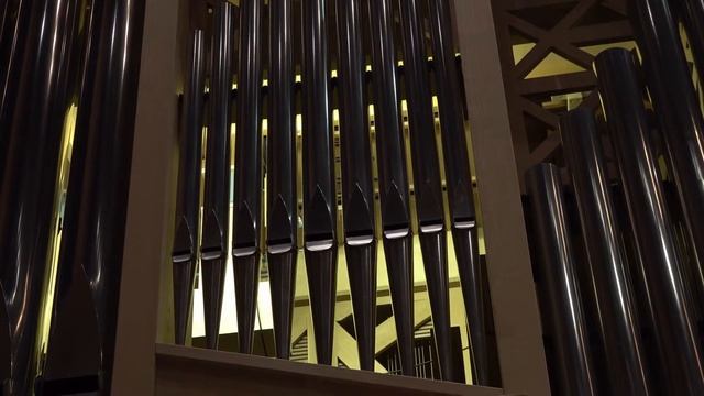 Кондопожский духовой орган смотреть онлайн