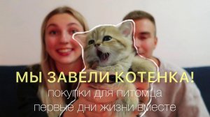 МЫ ЗАВЕЛИ КОТЕНКА // первые дни с ним / покупки для малыша