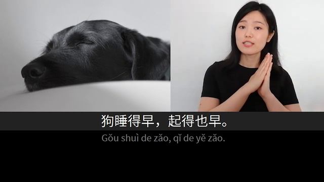 猫和狗 _ Slow Chinese Stories Newcomer _ Chinese Listening Practice HSK 1_2