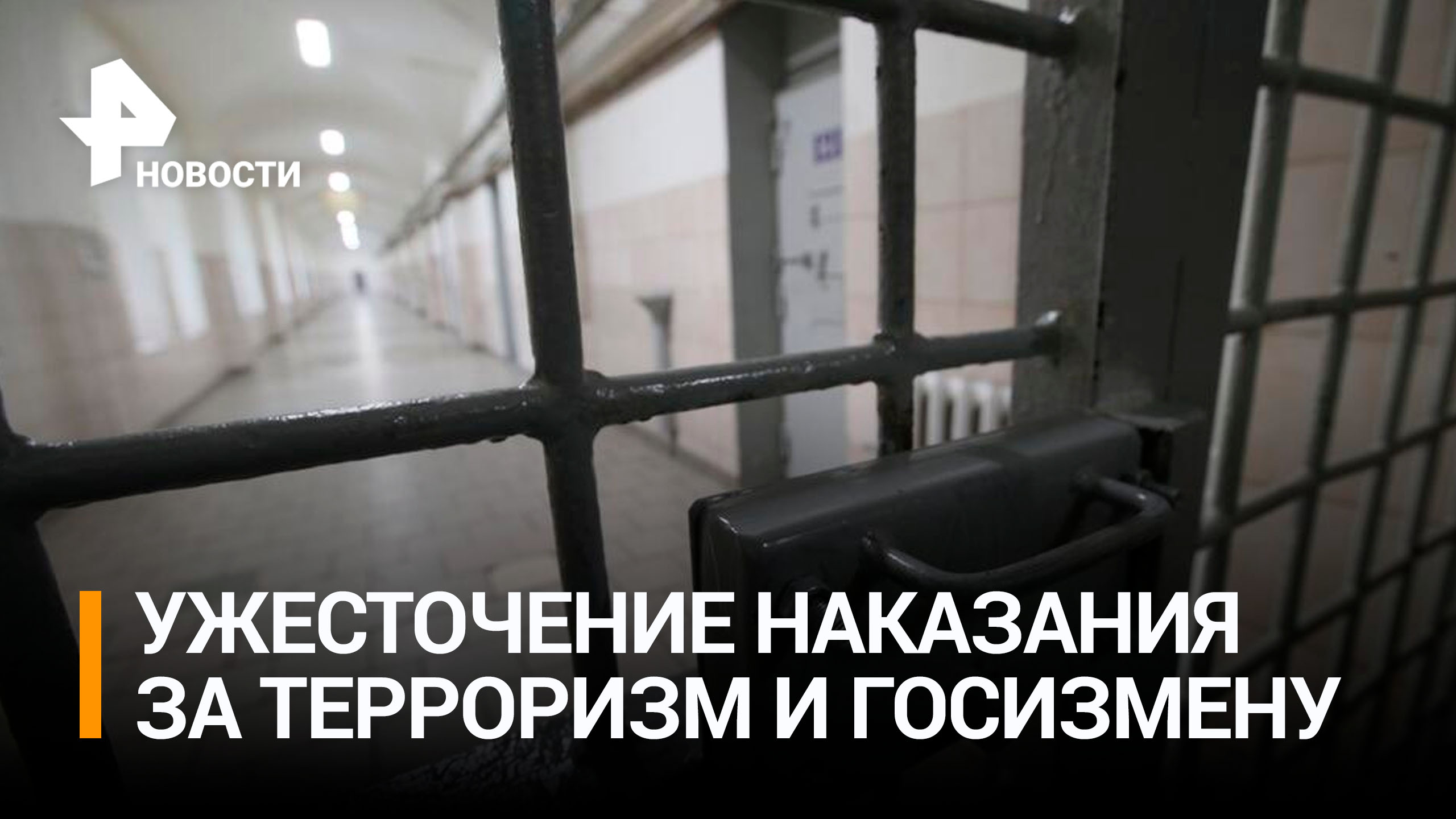 В России вводится пожизненное лишение свободы за госизмену / РЕН Новости