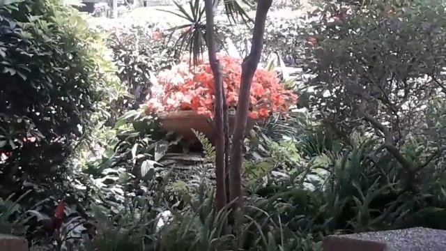 Сп цветик семицветик 2. Предитоговая неделя. смотреть онлайн