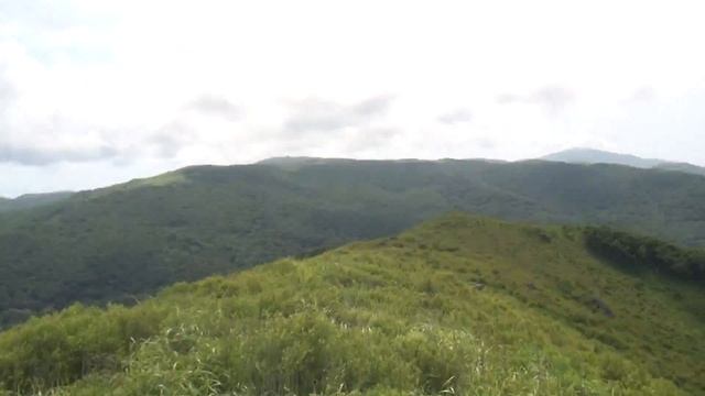 Обзор страта на параплане в Андреевке Хасанский район. смотреть онлайн