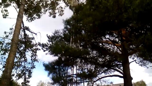 Пионерлагерь Спутник г.Сокол смотреть онлайн