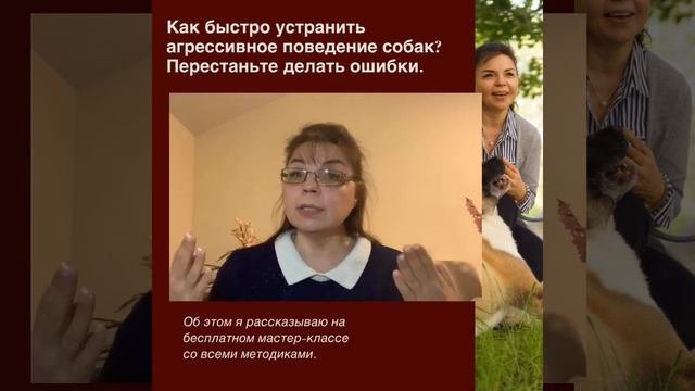 Как убрать агрессивное поведение у собаки. С Вами Кинолог Наталья Севостьянова,30 лет опыт офлайн