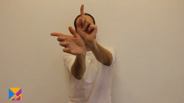 Упражнение Сектор. Скородум