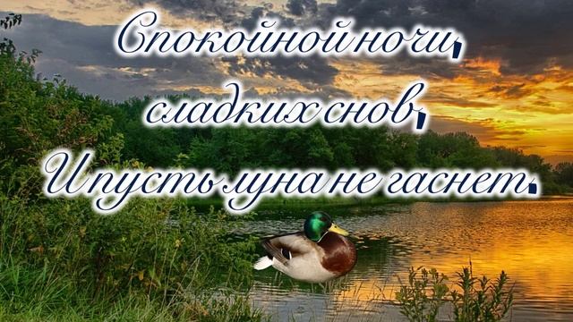 Уютного вечера и доброй ночи! Спокойной ночи и сказочных снов! Музыкальная открытка спокойной ночи!