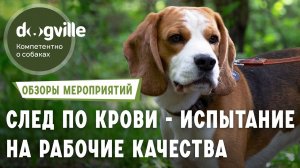 След по крови - Первое испытание охотничьих собак по рабочим качествам в системе СКОР