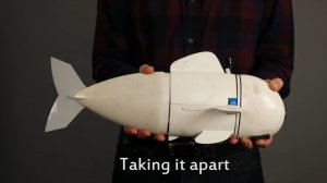 Роботизированные рыбы для исследования океана