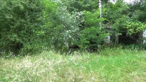 Пансионат в лесу. Обитель сумасшедшего... Заброшенные места Краснодарского края.