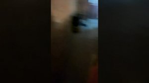 Автоматическое отключение фар прадо 150