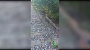 Смоленские транспортные полицейские пресекли хищение почти 7 тонн железнодорожных деталей