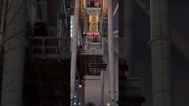 #вднх #ввц #ноябрь2023 #колесообозрения #солнцемосквы смотреть онлайн