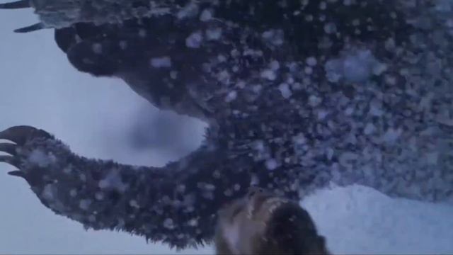 Вера Апасова - Недосказанная (Cover) (Григорий Лепс) #деньроссии #12июня #крещениеруси #язамир