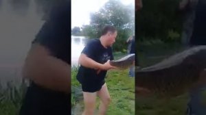 Трофейная рыбалка в Стрелецком Ручье... Итоги 1