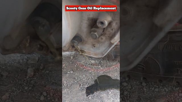 Gear Oil Replacement ? | Easy Process |  Suzuki Access 2010 ?