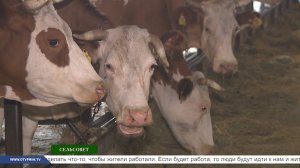 Сельсовет. Как развивают агротуризм и животноводство