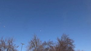 Бойные голуби Казахстана. Асха Талдыкорган, посадочная игра КЗ.