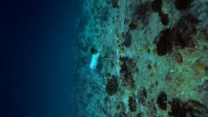 К ЕДИНСТВЕННОМУ НЕЖНОМУ...