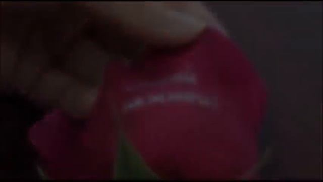 Флористический лак смотреть онлайн