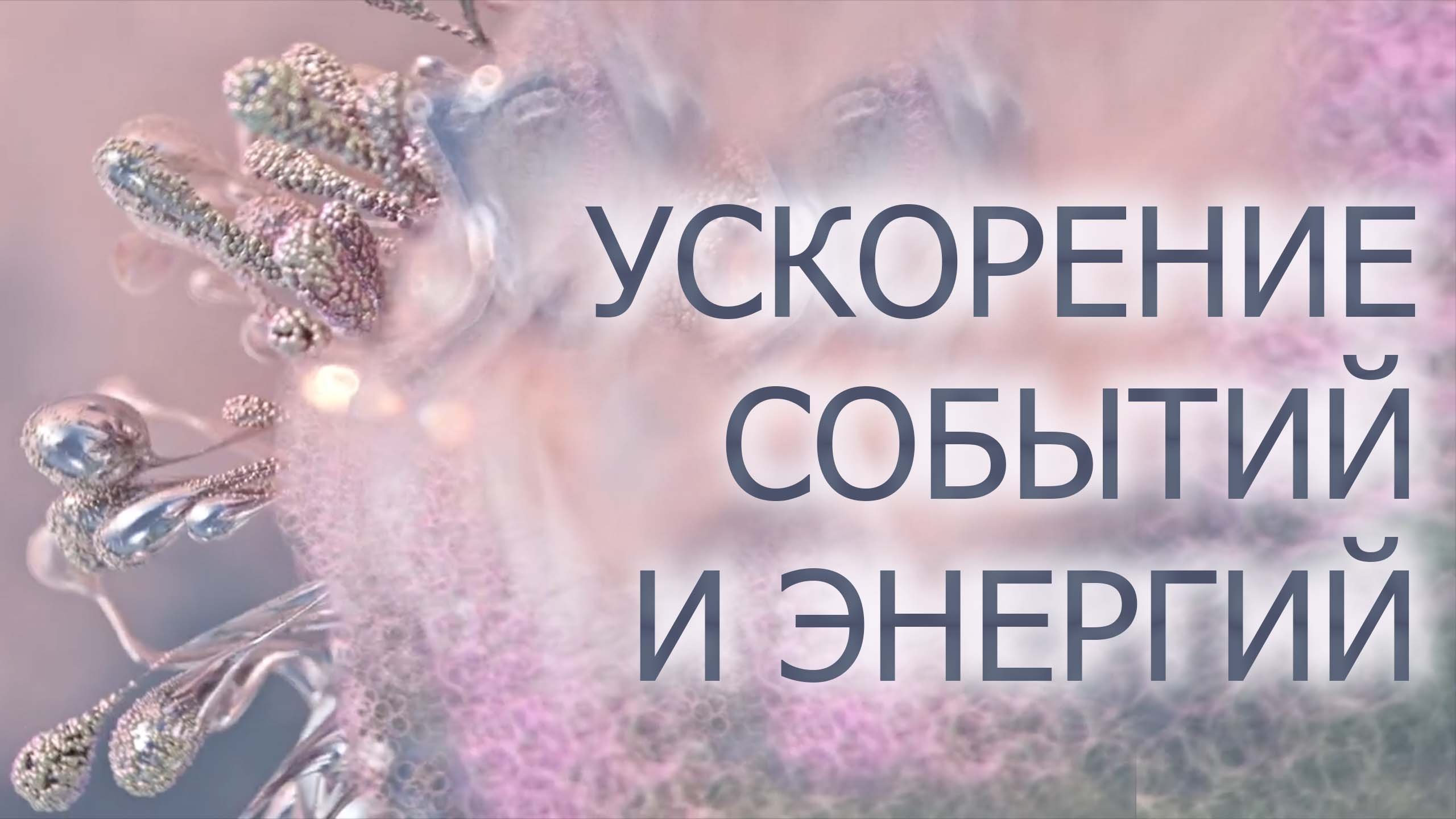 БУДТО ВСЕ ВОКРУГ ЗАМЕДЛИЛОСЬ И ТЫ СТАЛ ЧУТЬ БЫСТРЕЕ/КАК ПРОЖИТЬ ОПЫТ ДРУГОГО ЧЕЛОВЕКА В ОДНОЙ БЕСЕДЕ