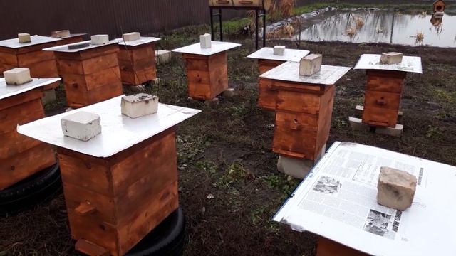 Какой краской красить улья? Обзор ульев. Готовимся к новому сезону. смотреть онлайн