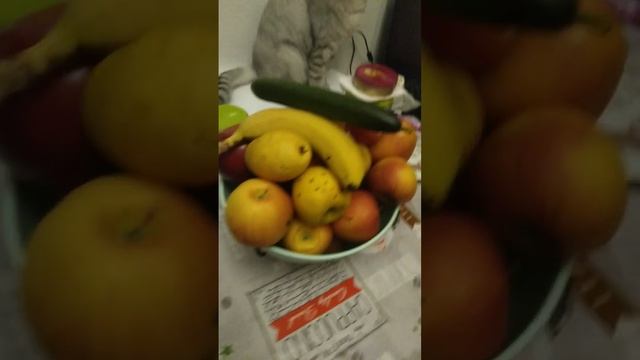 башня из фруктов и овощей смотреть онлайн