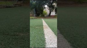 кто лучше я или Георгий